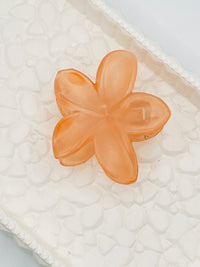 Cerulean Island Bloom(Small -orange)