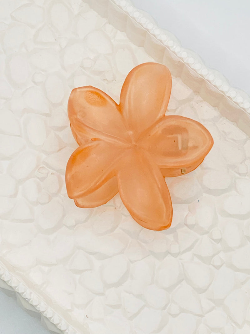 Cerulean Island Bloom(Small -orange)