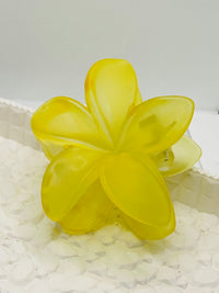 Cerulean Island Bloom(large -Yellow)