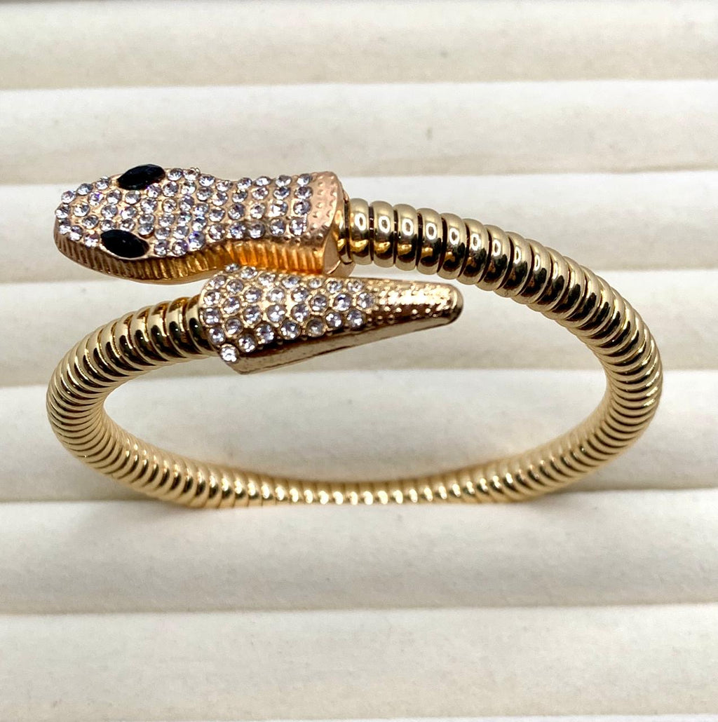 The Cleopatra Coil