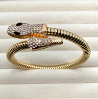 The Cleopatra Coil